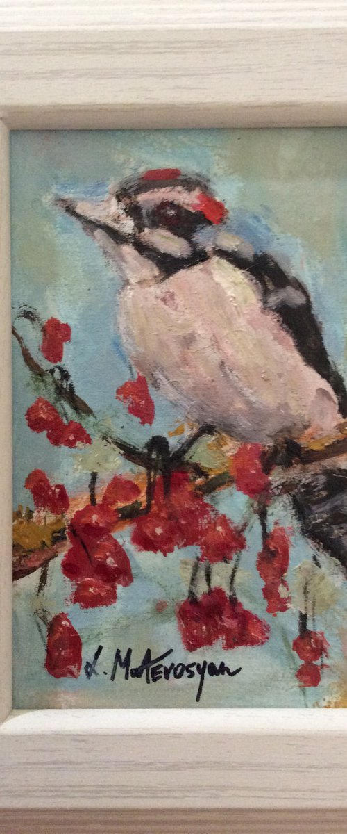 Downy woodpecker by Lia Matevosyan Haselton