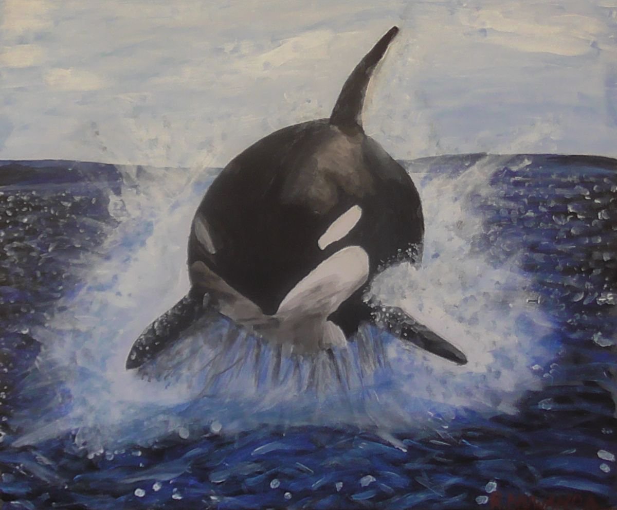 Orca Breach by Robbie Potter