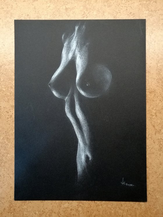 Nude noir #255 (21X29)cm