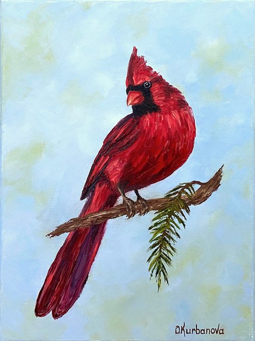Beautiful cardinal by Olga Kurbanova