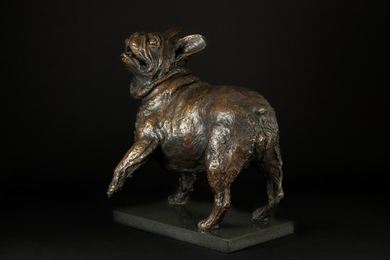 French Bulldog Lifting Paw FB