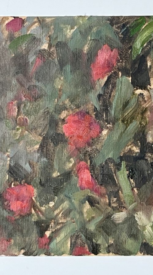 Camellias in Bloom by Simon Zekaria