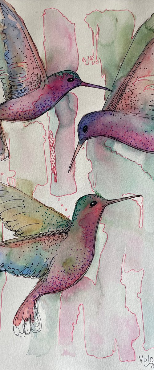 Trio of hummingbirds by Mary Voloshyna