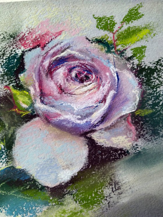 Rose portrait in pastel