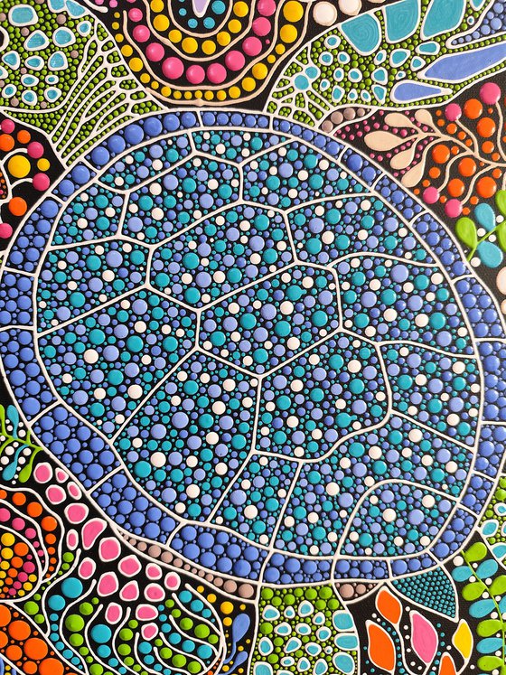 Turtle’s Coral Haven