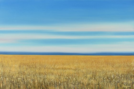 Golden Field - Blue Sky Landscape