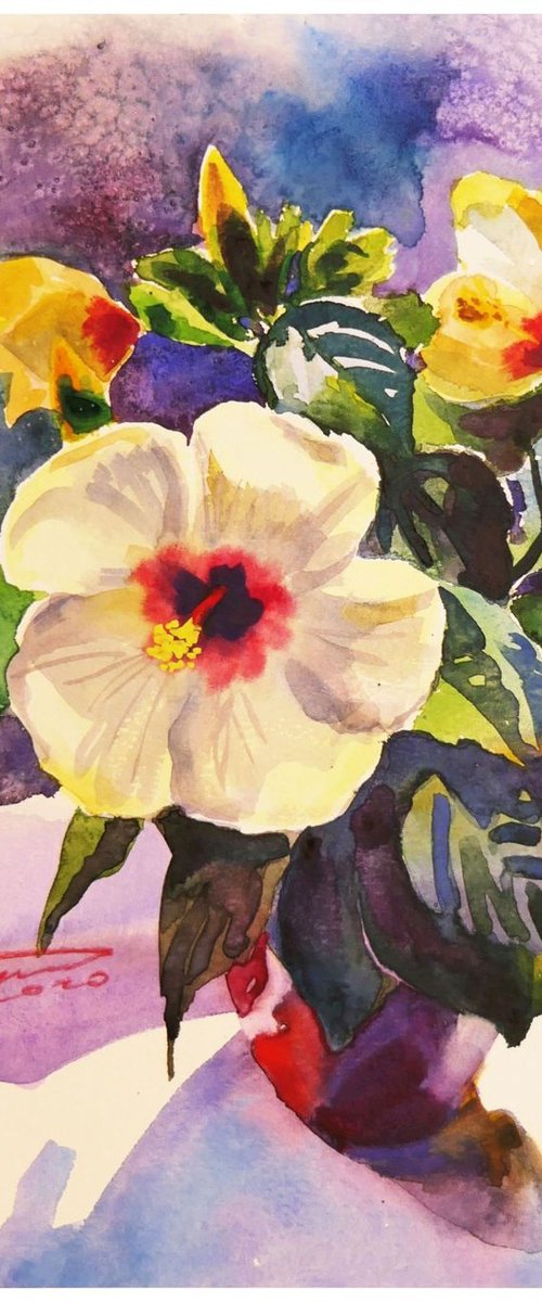 White Hibiscus Flower Watercolor Painting Floral Art by Ion Sheremet