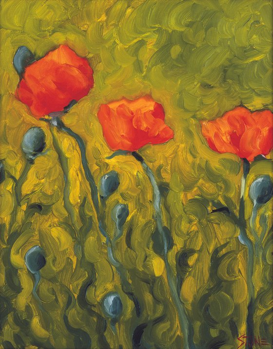 Three Poppies