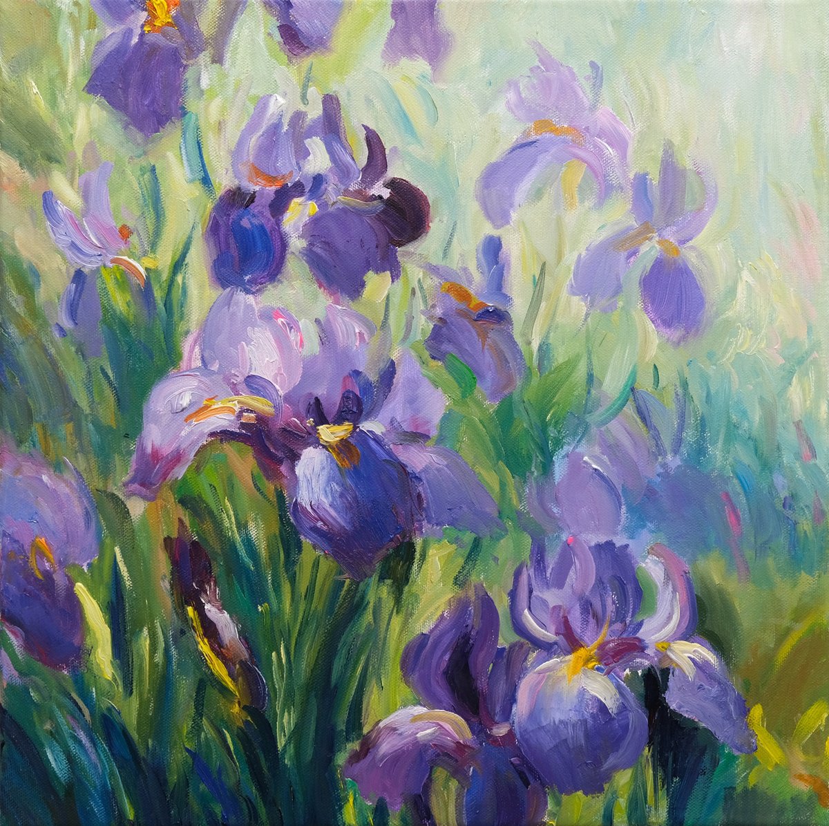 Irises by Behshad Arjomandi