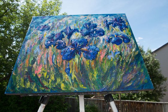 Countryside Irises