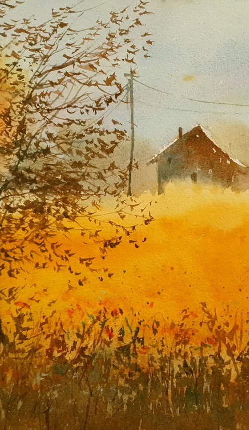 Barns at Sunset with Golden Fields by Charles Pierson