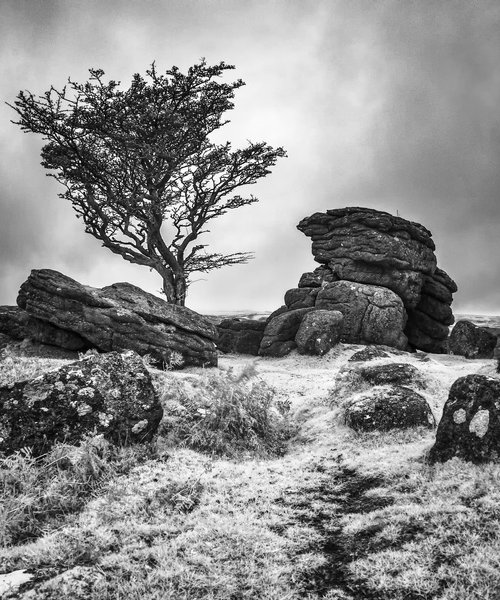 Saddle Tor Infrared by Paul Nash