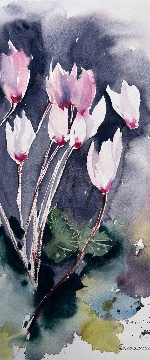Cyclamen by Eugenia Gorbacheva