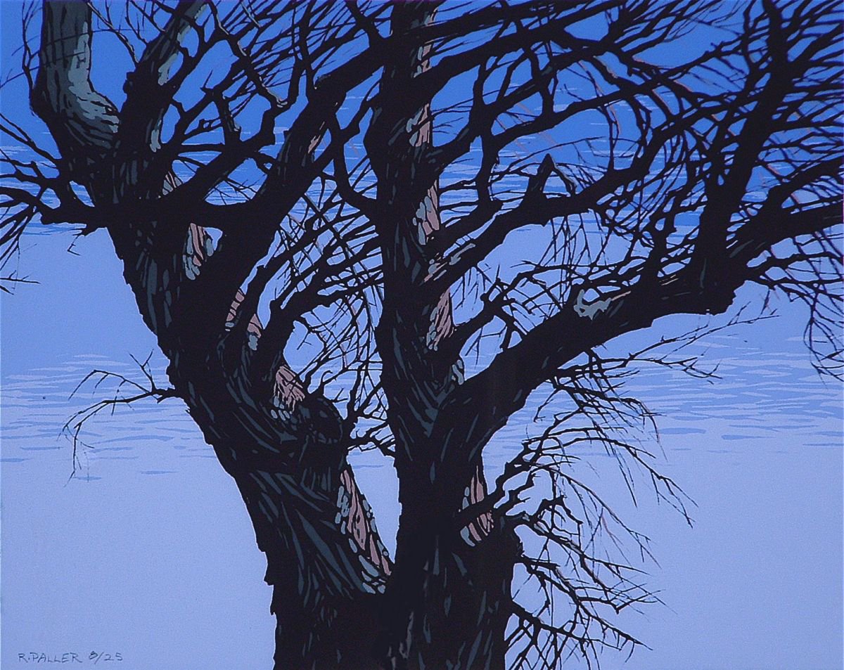 Expressive Botanical Screenprint By Rick Paller, 14 X 12", Black Willow, Original Artwork