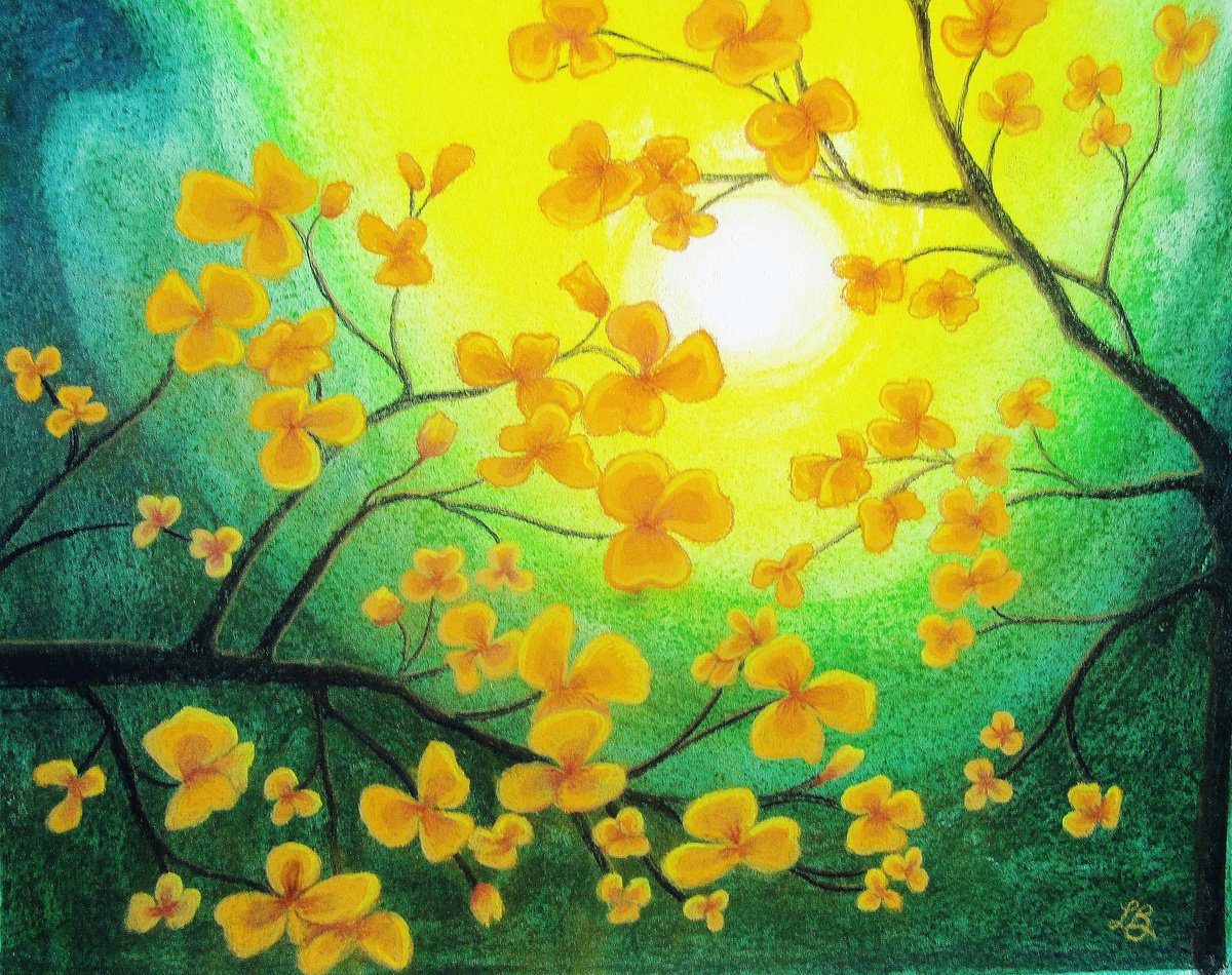 Orange Tree Blossoms by Linda Burnett