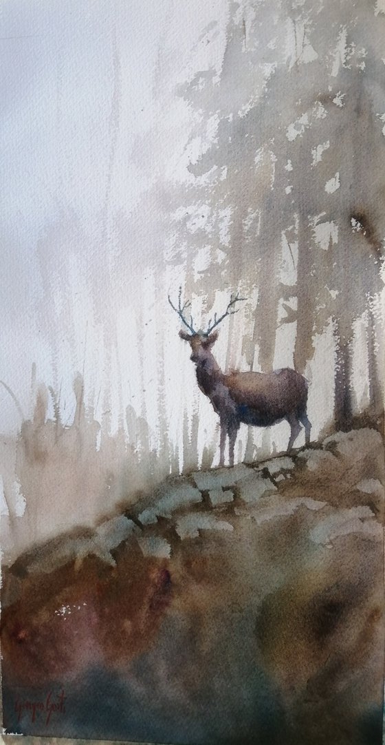 deer 9