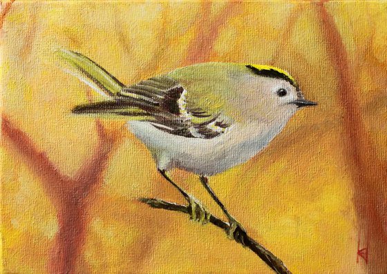 Goldcrest