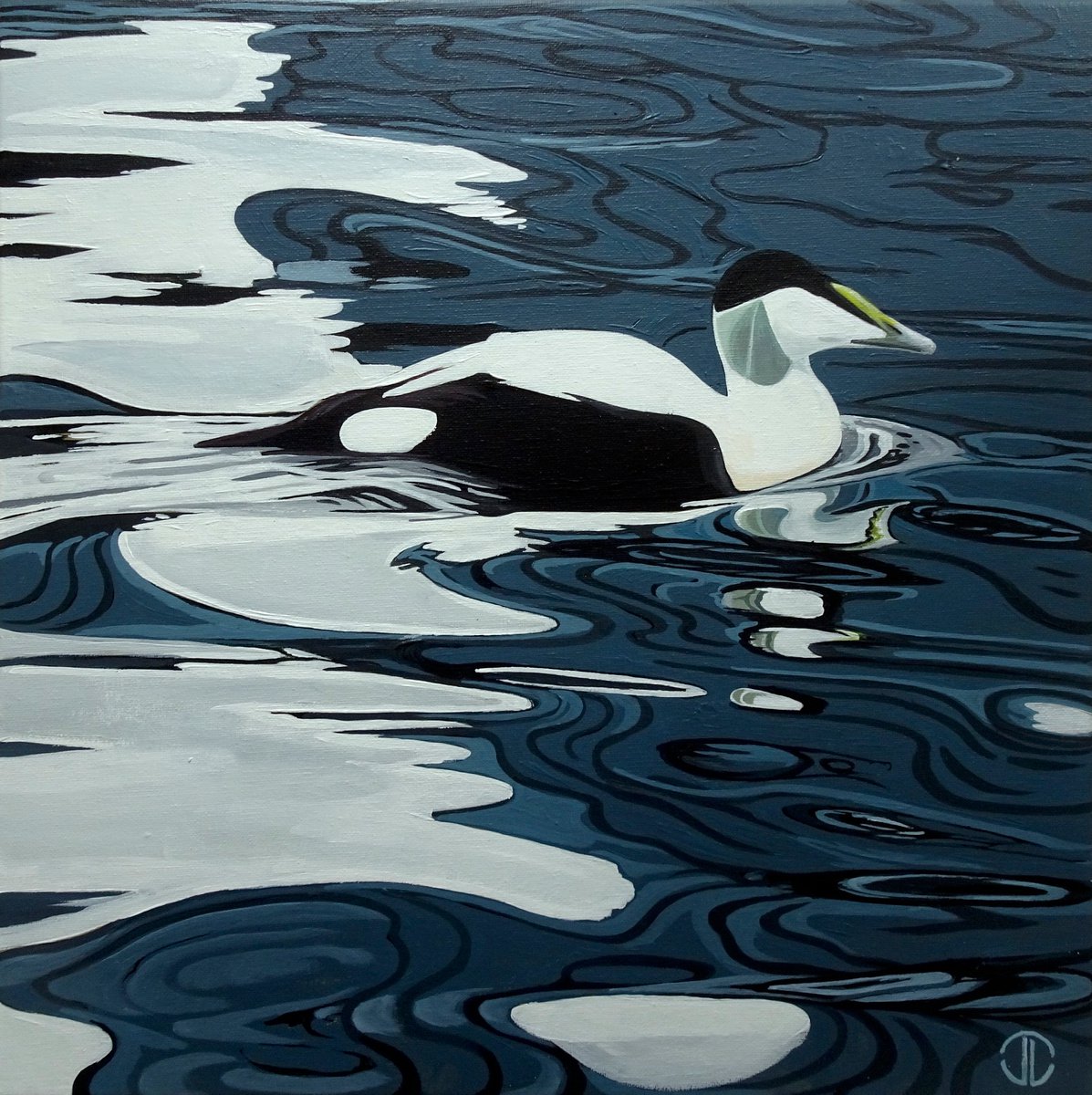 Photorealistic Animal Acrylic Painting By Joseph Lynch, 20 X 20, Eider Duck, Original Artwork