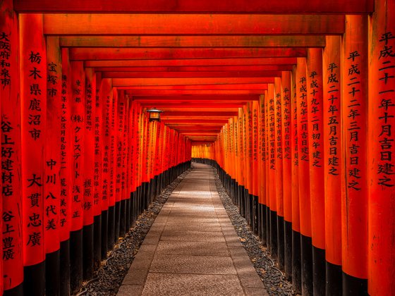 Torii Gates