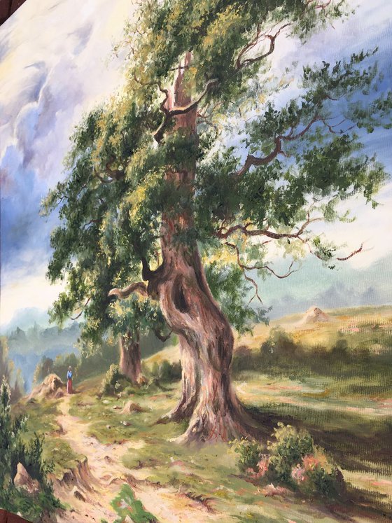 Old oak