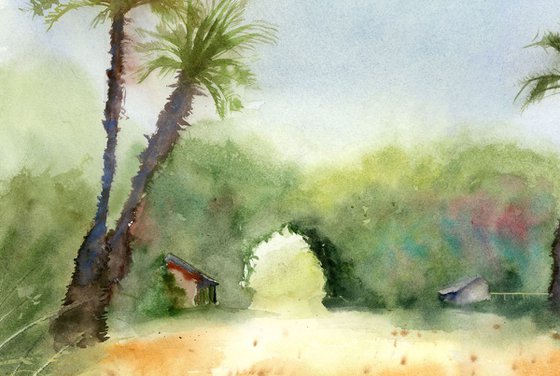 Landscape with palms