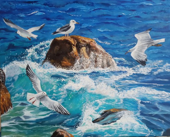 Waves and Seagulls