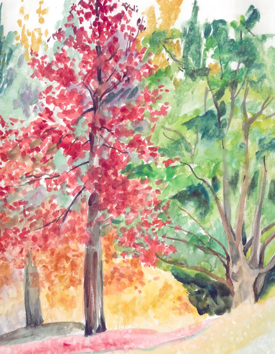 Impressionistic Landscape Watercolour By Christina M Plichta, 16 X 20, Red Maple At Shade Garden, Original Artwork