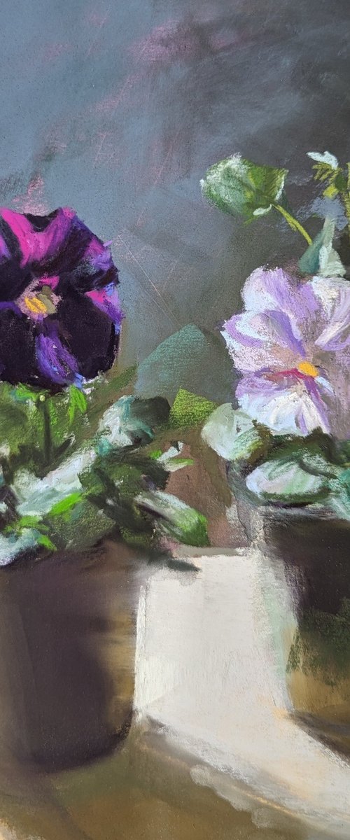 Pansies by Silja Salmistu