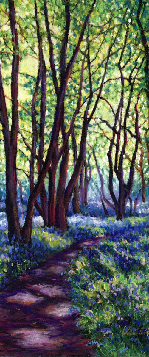 May Bluebells by Zoe Elizabeth Norman