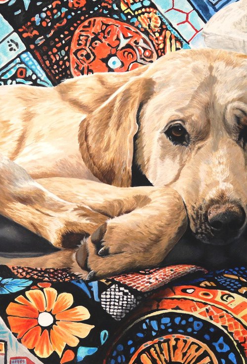 Labrador Retriever by Julian Wheat