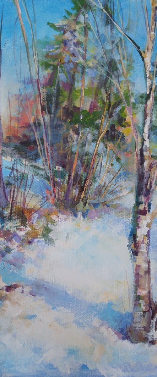 Warm snow by Alexander Koltakov