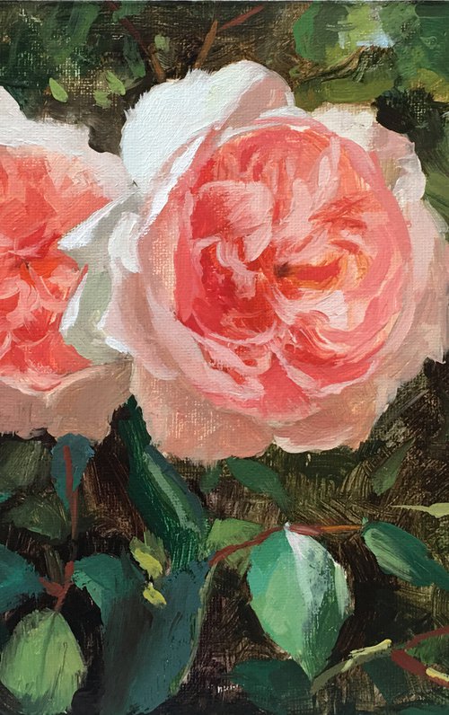 Rose Garden #07 (framed) by Ling Strube