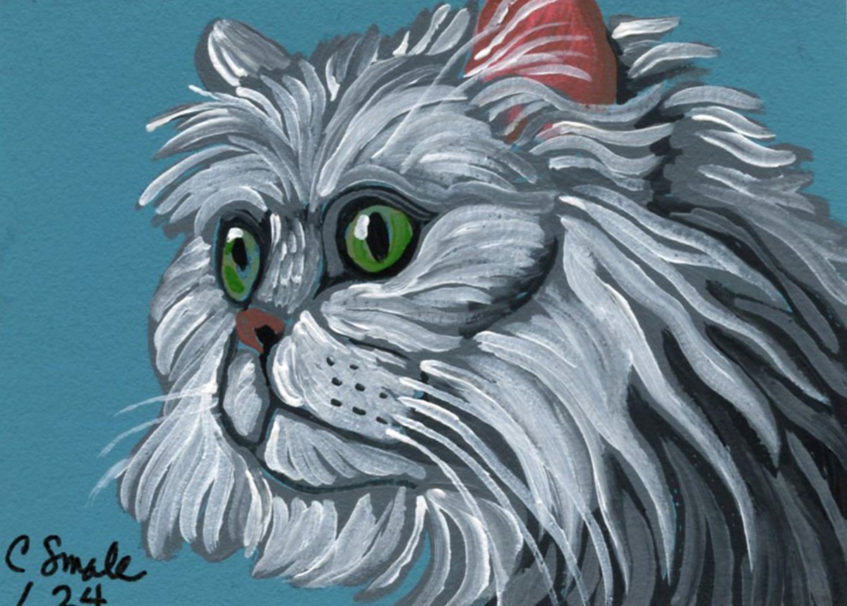 White Persian Cat by Carla Smale