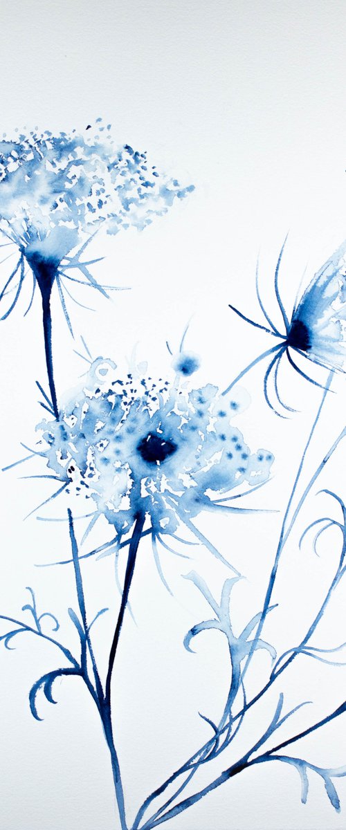 Queen Anne's Lace No. 2 by Elizabeth Becker