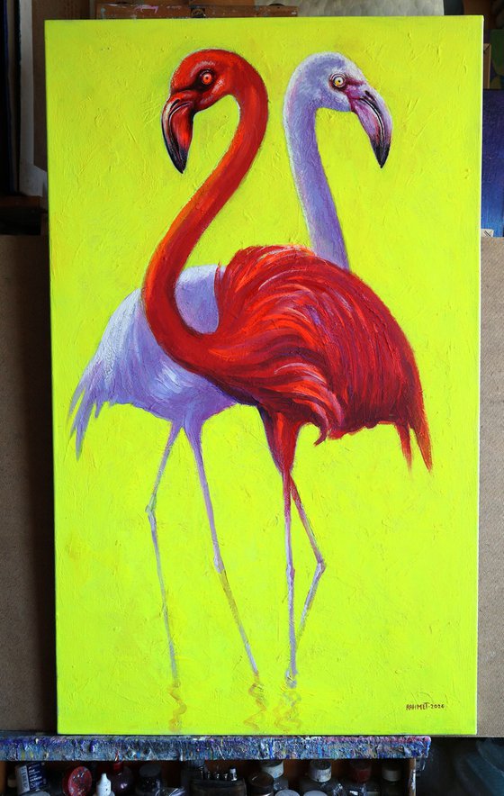Flamingo 2