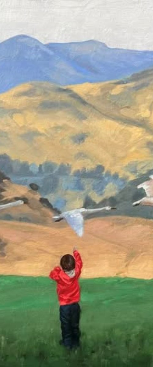 The flyby by Kerry Lisa Davies