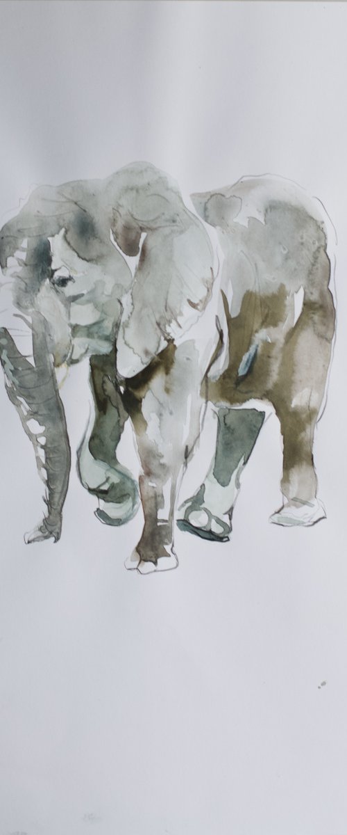 Elephant by Marina Skepner