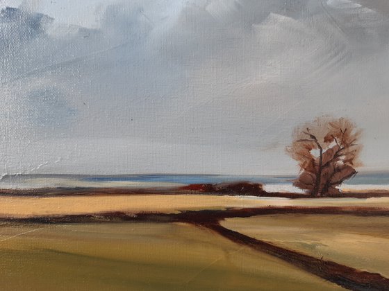 Norfolk landscape#1