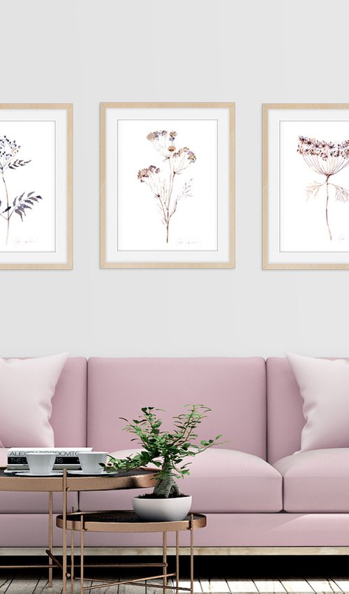 Dried Grass Collection 4 by Olga Koelsch