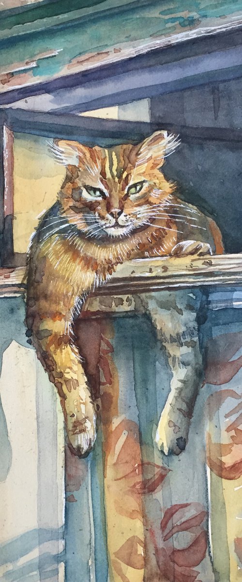 March cat by Natalia Veyner