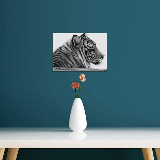 Tiger-wildlife