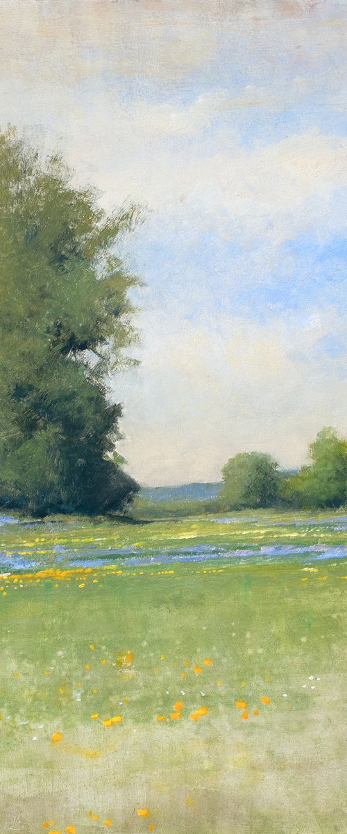 Spring Flowers 240207 by Don Bishop