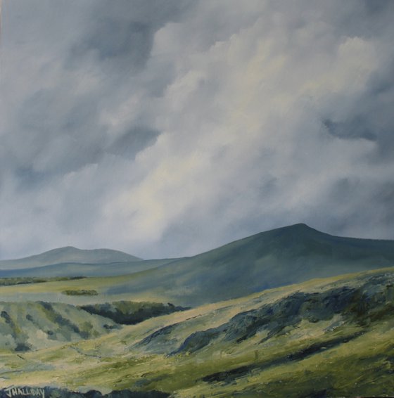 In the Wicklow Mountains, Irish Landscape