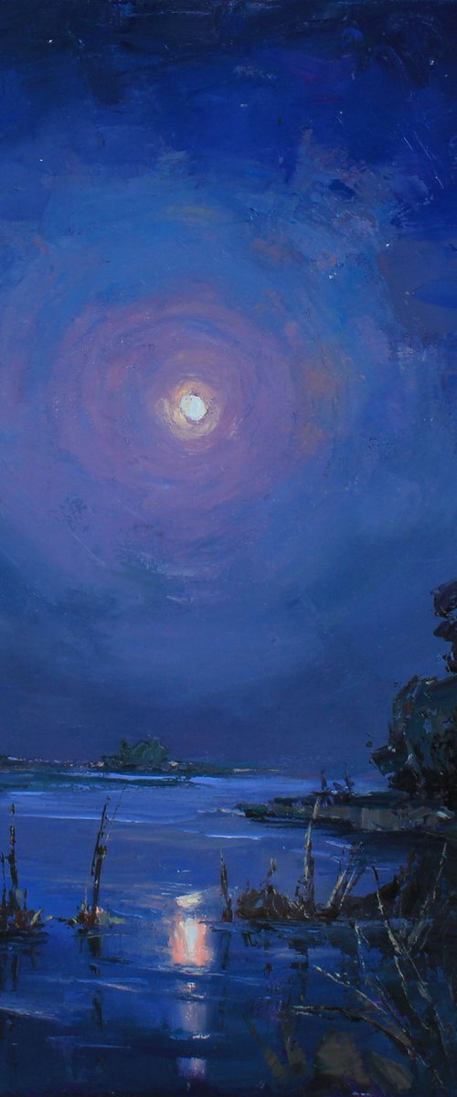 "Night silence" by Alisa Onipchenko-Cherniakovska
