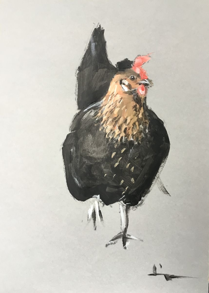Chicken Study 3 by Dominique D�ve