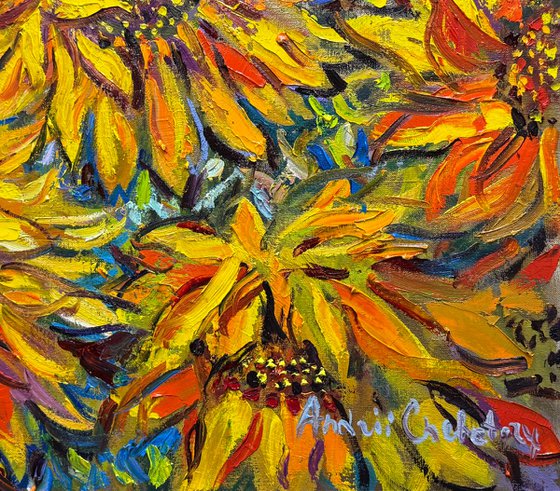 Where the sun is born