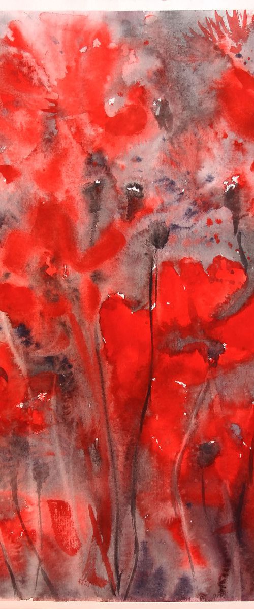 Red and black. Poppies /  ORIGINAL PAINTING by Salana Art Gallery