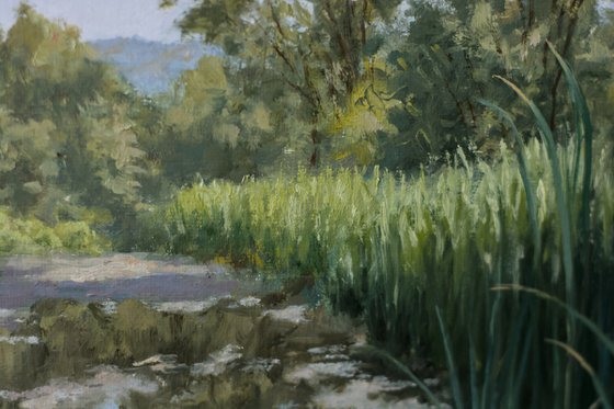Swamp of Rasina