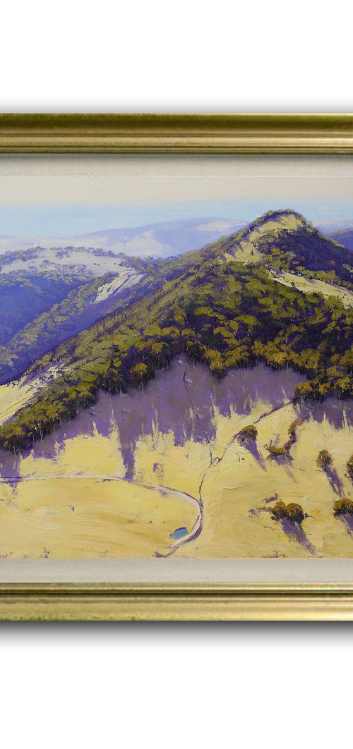 Drone view The Blue Mountains by Graham Gercken