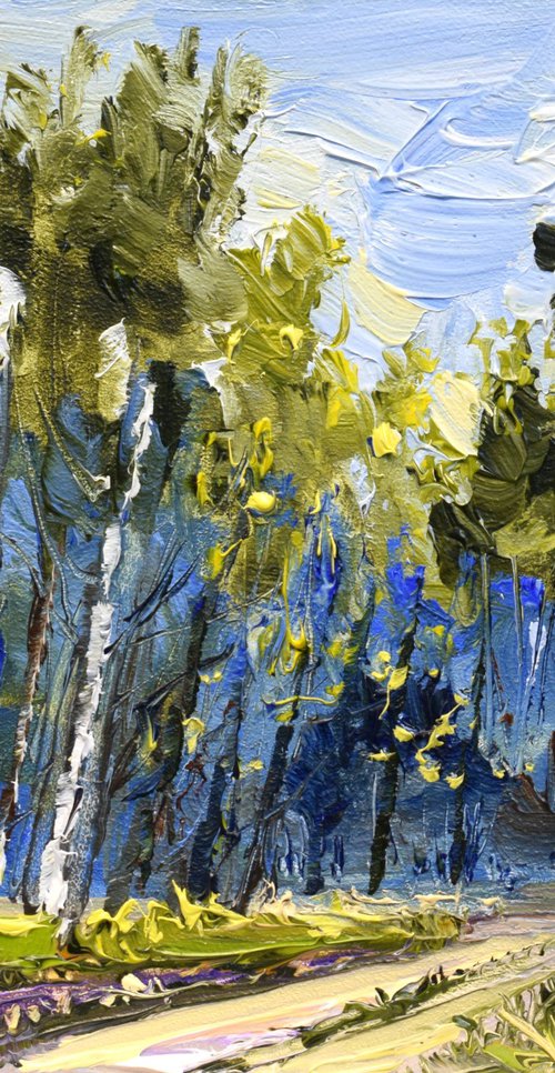 Hidden path by Sonja Brussen